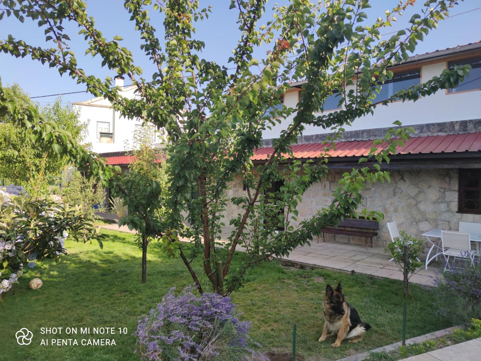 Real Santo Antonio Guest House Tarouca Kültér fotó