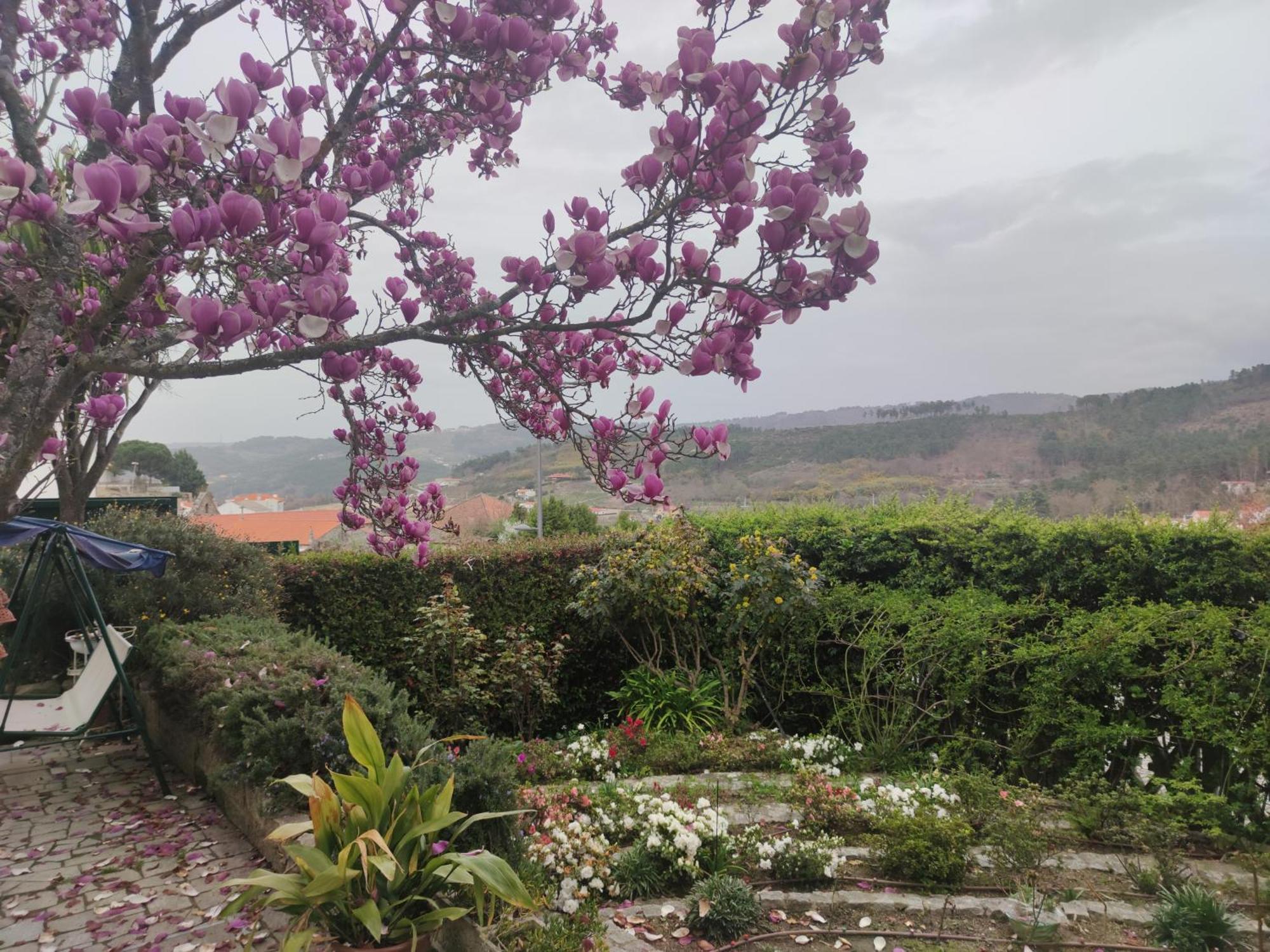 Real Santo Antonio Guest House Tarouca Kültér fotó