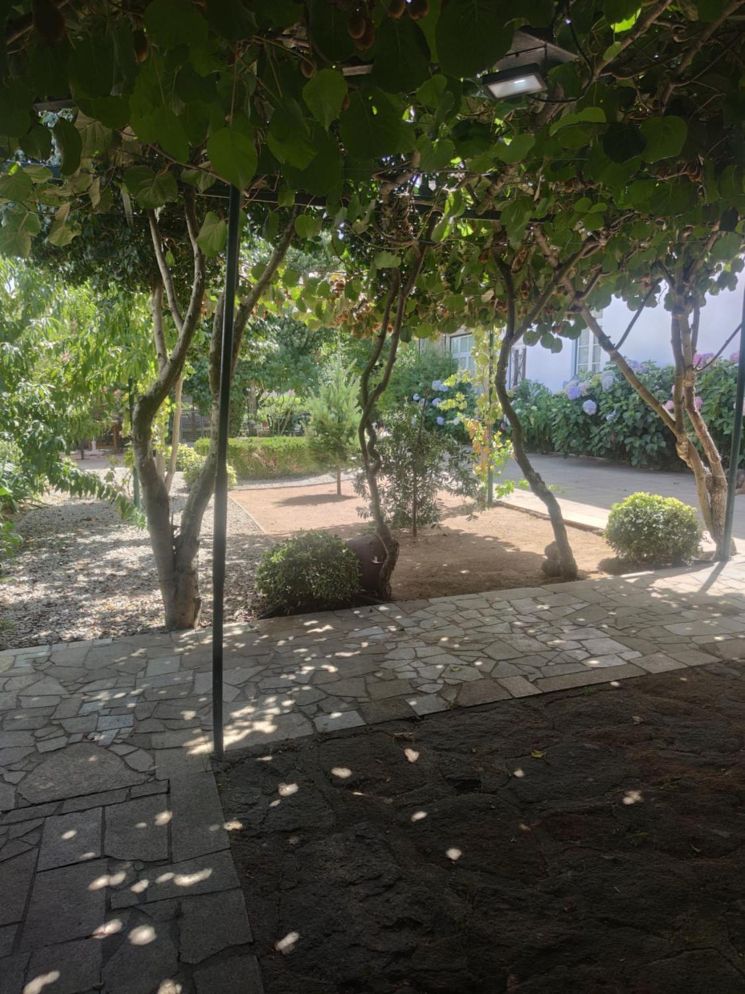 Real Santo Antonio Guest House Tarouca Kültér fotó