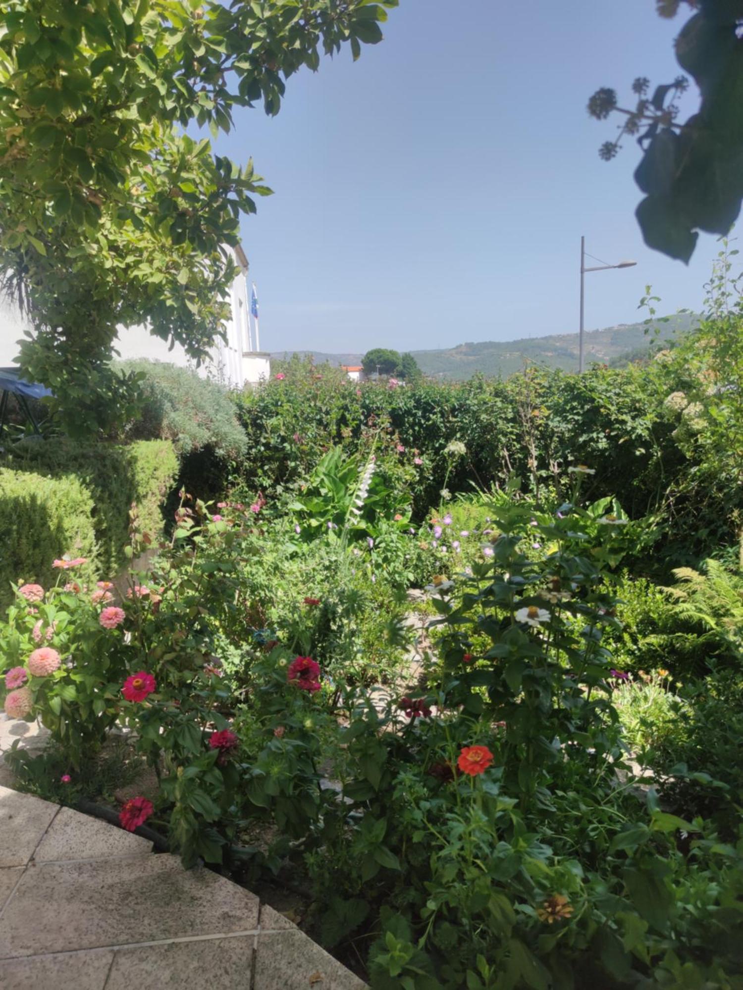 Real Santo Antonio Guest House Tarouca Kültér fotó