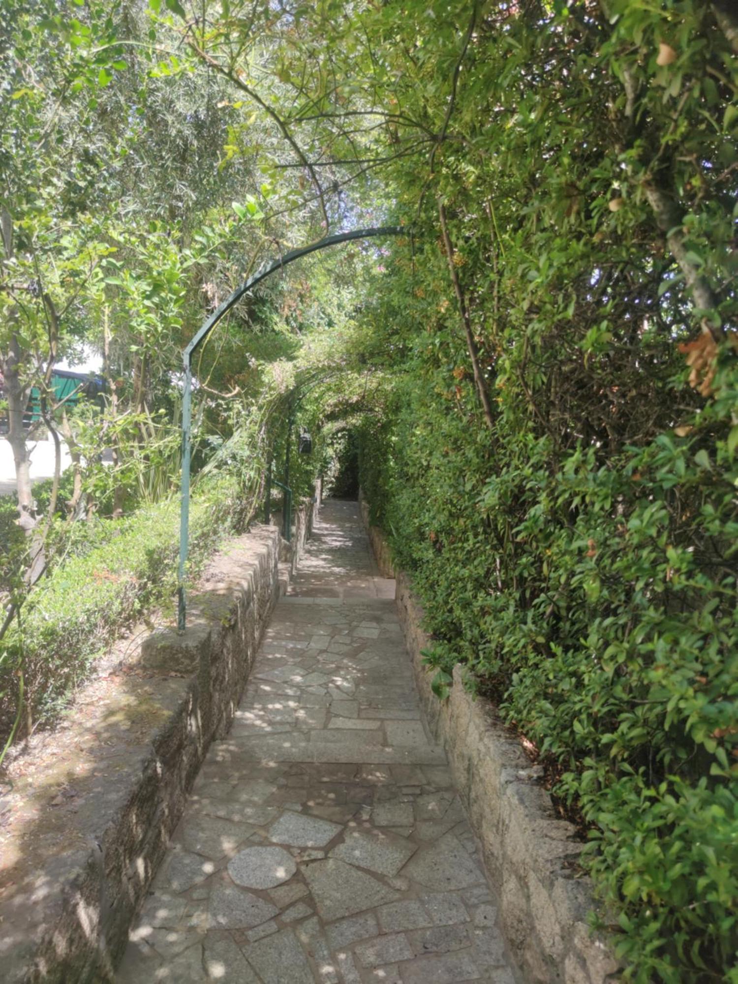 Real Santo Antonio Guest House Tarouca Kültér fotó