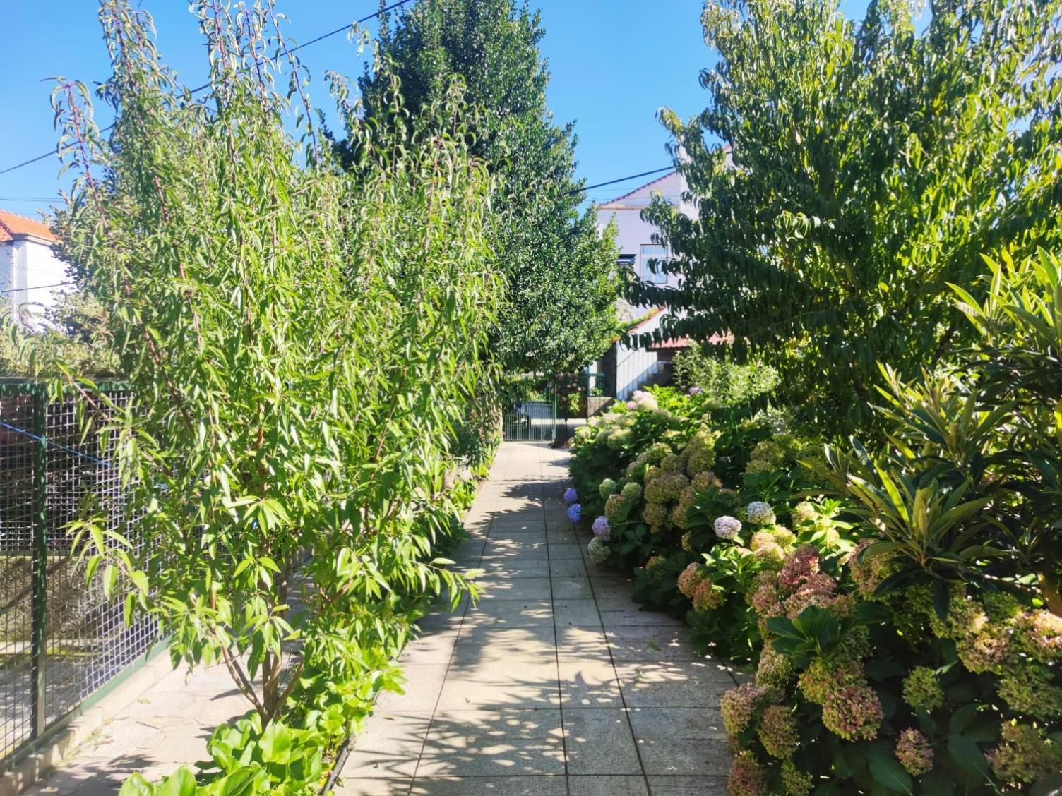 Real Santo Antonio Guest House Tarouca Kültér fotó
