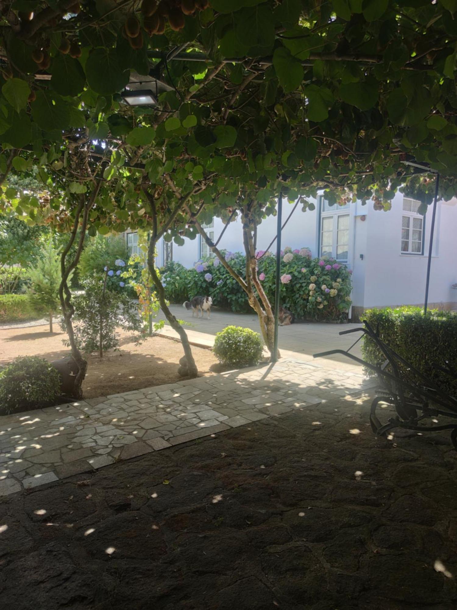 Real Santo Antonio Guest House Tarouca Kültér fotó